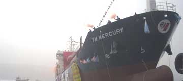 YM MERCURY
is launched!